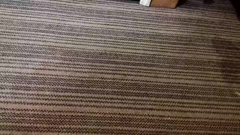 kis4kum online show from 21, 4, 2026