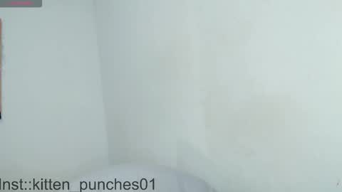 Snapshot of kitten_punches02 chatting on 1, 11, 2025 kitten_punches02 online show from 1, 11, 2025