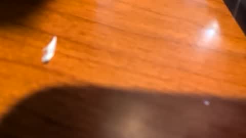 Snapshot of kittykat175154 chatting on 28, 3, 2026 kittykat175154 online show from 28, 3, 2026