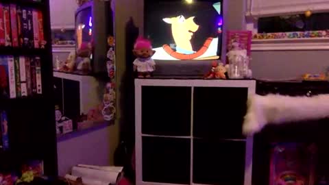 kittykatcoco online show from 11, 11, 2025