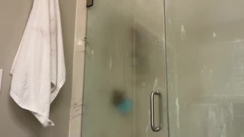 kittypurr79 online show from 2, 1, 2025