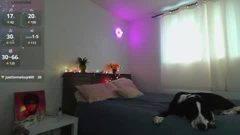 Snapshot of kittyymaze chatting on 12, 12, 2024 Kittyymaze online show from 12, 12, 2024