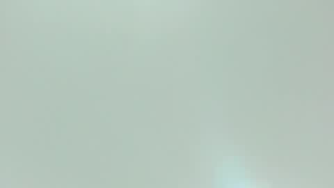 Kiwi online show from 10, 2, 2026