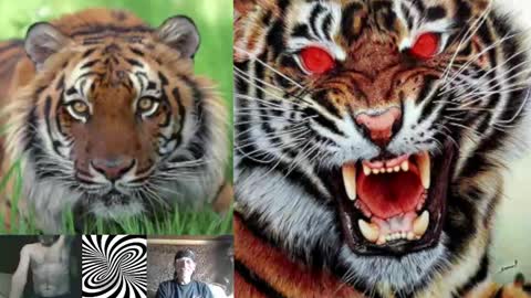 Snapshot of kodiakpm1 chatting on 1, 2, 2025 kodiakpm1 online show from 1, 2, 2025