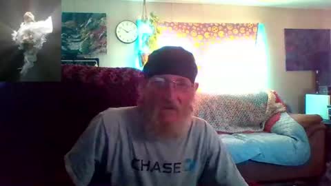 Snapshot of kodiakpm1 chatting on 20, 6, 2026 kodiakpm1 online show from 20, 6, 2026
