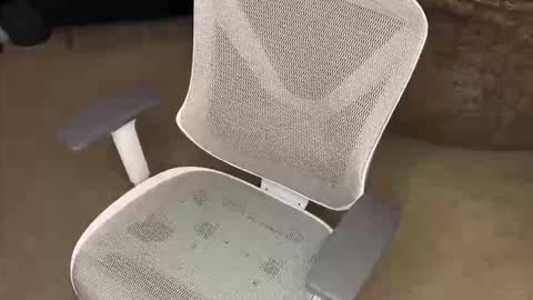 your hairy neighbor online show from 16, 12, 2025