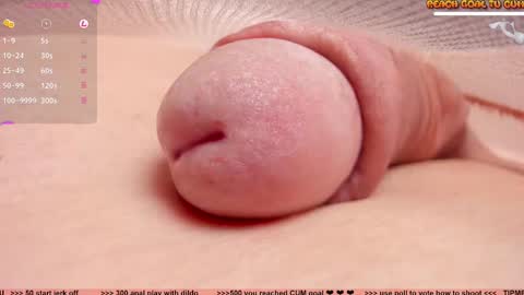 Petra online show from 10, 3, 2025