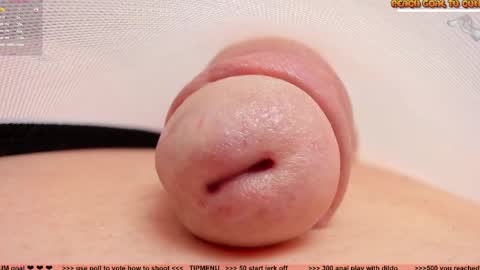 Petra online show from 9, 4, 2026