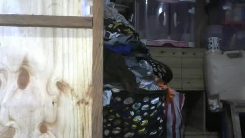 krishasweet online show from 11, 12, 2024