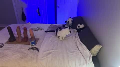 Kristin Snow online show from 17, 9, 2025