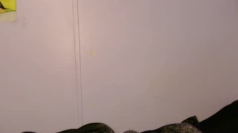 Snapshot of l1lybaby chatting on 5, 5, 2026 Lily online show from 5, 5, 2026