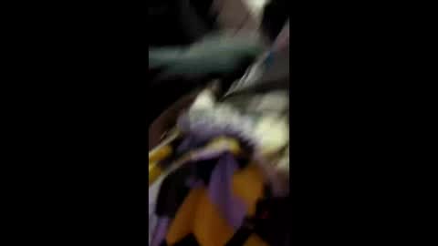 labran817 online show from 11, 4, 2026