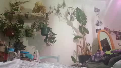 lacybell online show from 24, 12, 2024