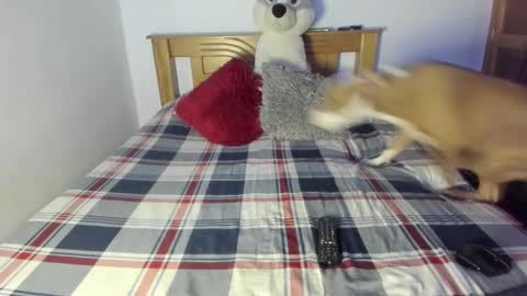 Snapshot of ladahear_ chatting on 25, 10, 2025 Akyra online show from 25, 10, 2025