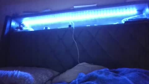 Snapshot of ladycinnabon chatting on 24, 2, 2025 Stephanie online show from 24, 2, 2025