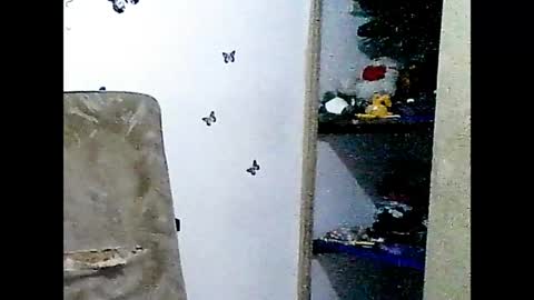 ladydeathz online show from 15, 12, 2024