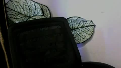 Snapshot of ladylilasexy chatting on 1, 8, 2026 sexylila online show from 1, 8, 2026