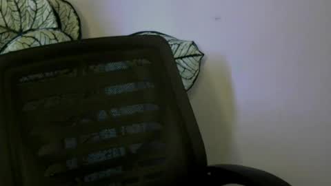 Snapshot of ladylilasexy chatting on 2, 8, 2026 sexylila online show from 2, 8, 2026