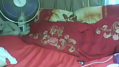 LadyXSnakes online show from 21, 1, 2025