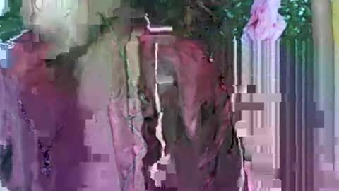 LadyXSnakes online show from 21, 9, 2025