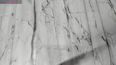 laiily bell online show from 24, 2, 2026