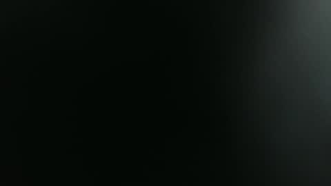 ANNIE online show from 14, 1, 2026