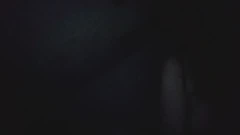 I work 5PM to 9 PM EST  New York online show from 25, 4, 2026