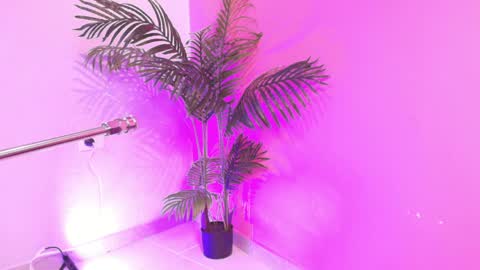 LANA online show from 3, 4, 2026