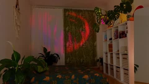 Lana online show from 13, 2, 2025