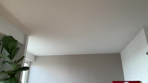 Snapshot of lanimalr chatting on 10, 3, 2026 Lanimal online show from 10, 3, 2026