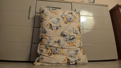 Snapshot of laracara chatting on 18, 12, 2024 Lara online show from 18, 12, 2024