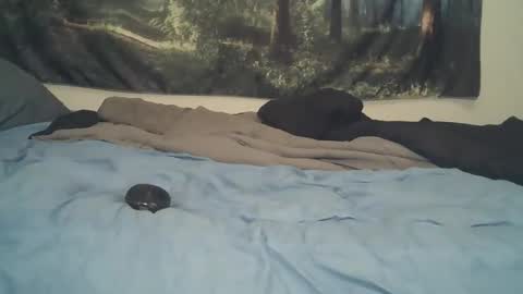 Larbie online show from 27, 4, 2026