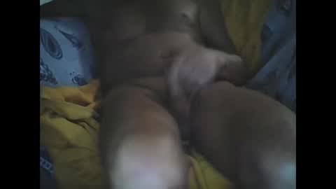 Larop49 online show from 6, 10, 2025