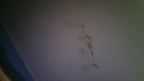 larry009 online show from 15, 12, 2025