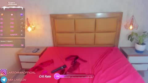 Snapshot of larsonmia chatting on 30, 12, 2024 MIA online show from 30, 12, 2024