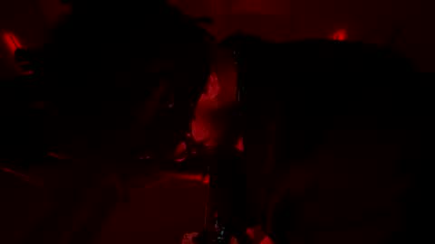 latex__buddy online show from 3, 3, 2026