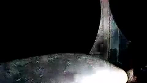 latexchris77 online show from 7, 1, 2026