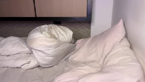 Hi -  online show from 27, 12, 2024