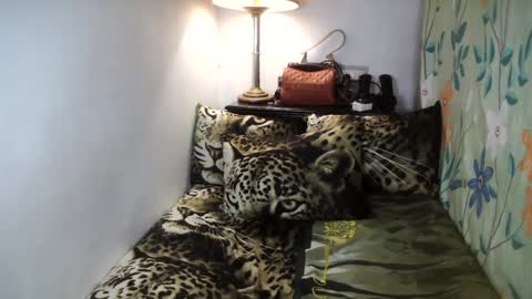 Belle online show from 2, 2, 2025