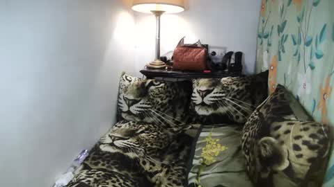 Belle online show from 8, 2, 2025