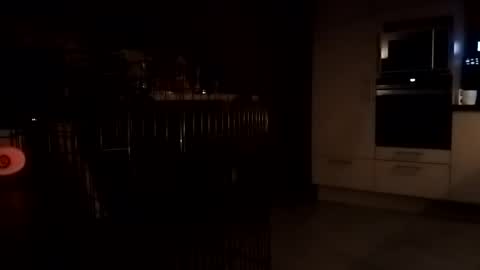 Law online show from 1, 12, 2025