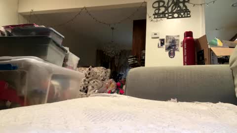 Snapshot of lawrencegreg106 chatting on 25, 9, 2025 lawrencegreg106 online show from 25, 9, 2025