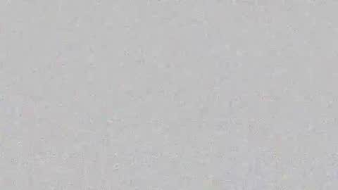 Snapshot of layana_poison chatting on 19, 2, 2026 Layana online show from 19, 2, 2026