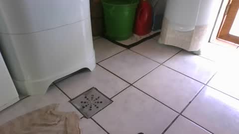 kelly online show from 7, 3, 2025