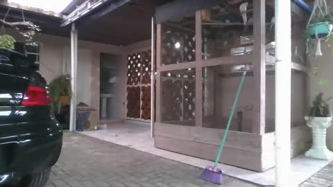 kelly online show from 22, 12, 2025