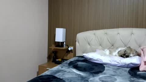 Snapshot of laylabrasil chatting on 3, 7, 2026 kelly online show from 3, 7, 2026