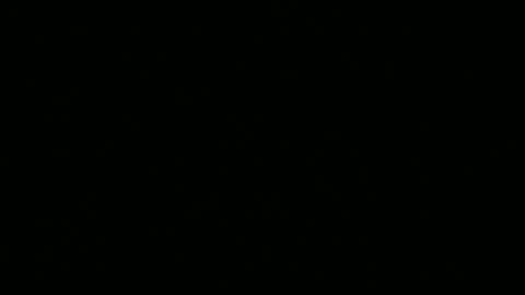 Snapshot of leeguy_hugedick chatting on 13, 6, 2026 Ebony DeafGuy online show from 13, 6, 2026