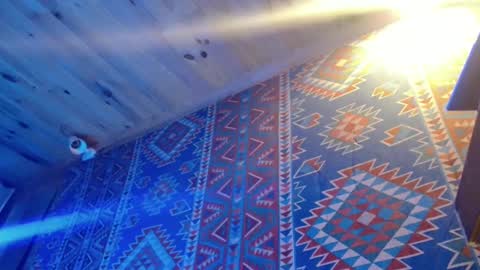 Dliciousman online show from 20, 2, 2025