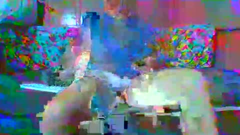 SEX  MASTER online show from 15, 1, 2026