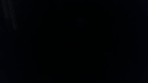 Pussylicker online show from 3, 11, 2025